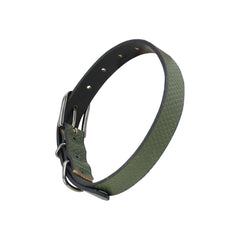 Spike Leather Dog Collar